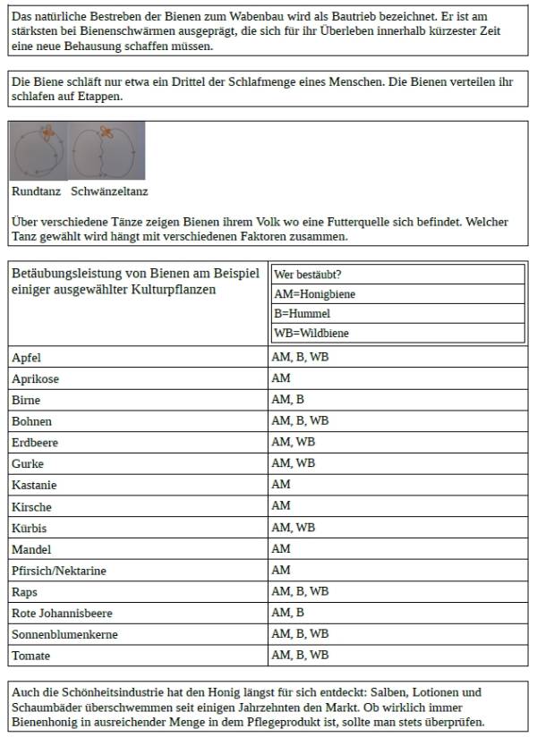 Infoblatt 1